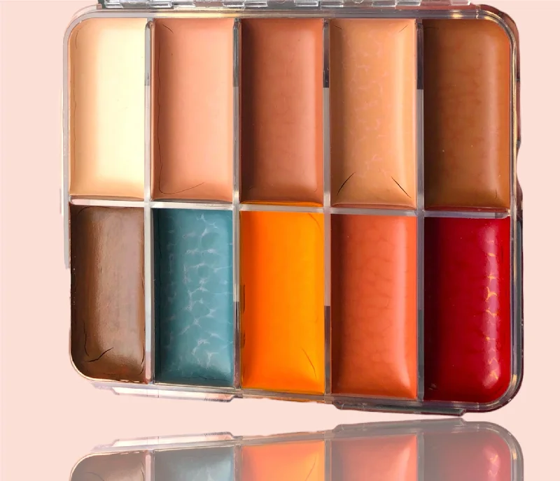 PPI Skin Illustrator On Set Starter Palette